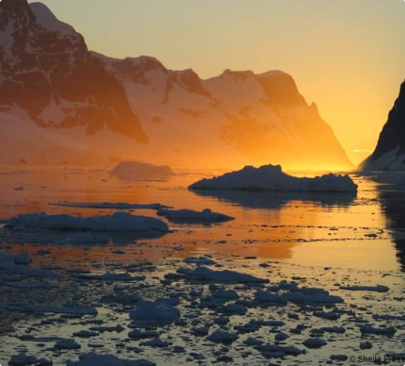 TExperiencing Midnight Sun: Summer Adventures in Antarctica