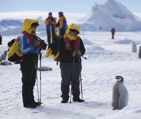 Ultimate Antarctic Adventure