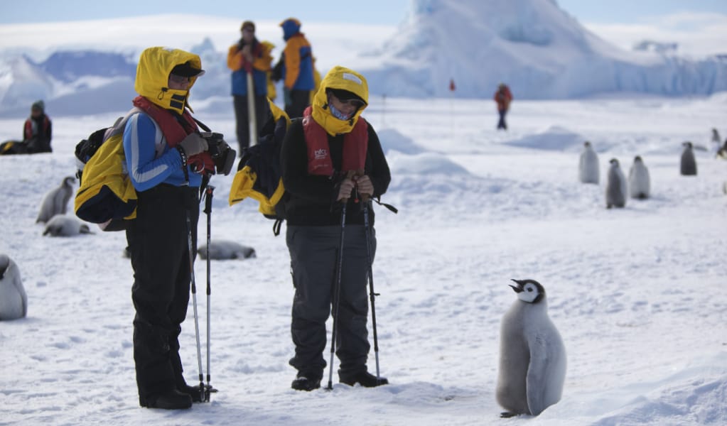 Our Journey BegUltimate Antarctic Adventure